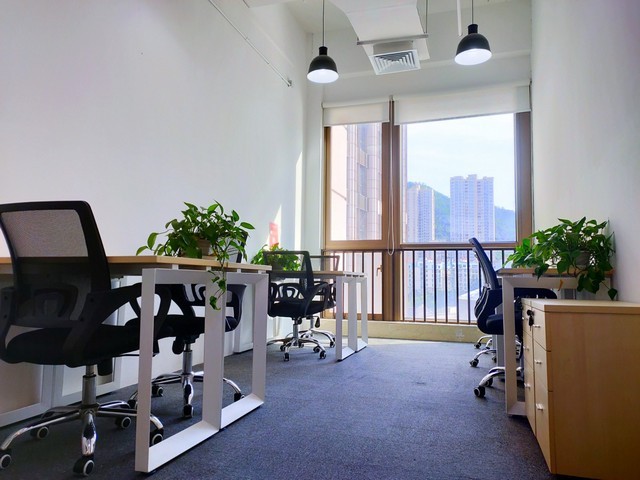 珠海正规鼠尾胶原厂家推荐